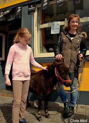 Puck Fair, Killorglin, Co. Kerry, Irland