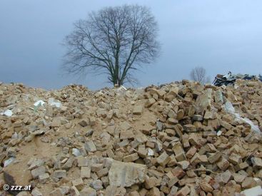 alle Bume und Pflanzen der Gegend: geschreddert und zu hunderten von Scheiterhaufen aufgetrmt (anklicken zum Vergröern)