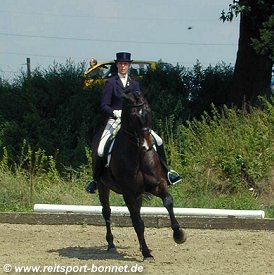 Turnierfotos Reiten: Reitturnier (anklicken zum Vergrern - click to enlarge)