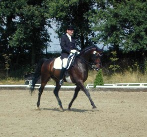 Reiten + Pferde: Reitturnier in Kevelaer