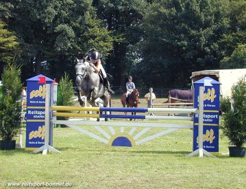 Reiten + Pferde: Reitturnier (anklicken zum Vergrern - click to enlarge)