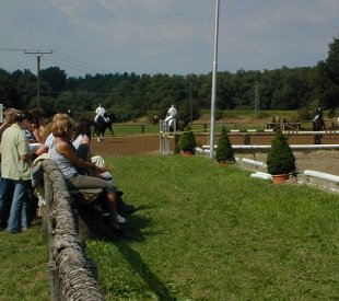 Reiten + Pferde: Reitturnier (anklicken zum Vergrern - click to enlarge)