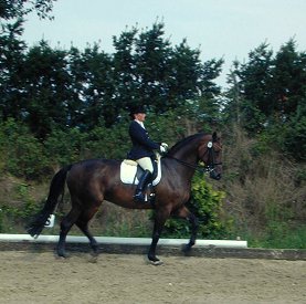 Reiten + Pferde: Reitturnier in Kevelaer