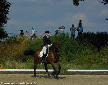 Reiten + Pferde: Reitturnier (anklicken zum Vergrern - click to enlarge)