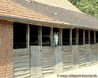 Reiten + Pferde: Reitturnier in Kevelaer