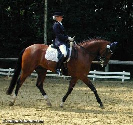 Reiten: Reitturnier (anklicken zum Vergrern - click to enlarge)