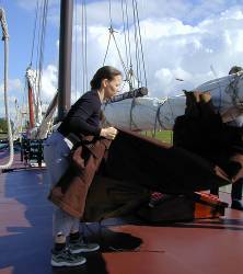 anklicken zum Vergr��ern - click to enlarge